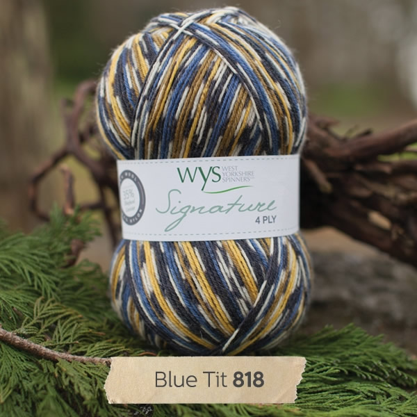 Signature 4 Ply Blue Tit